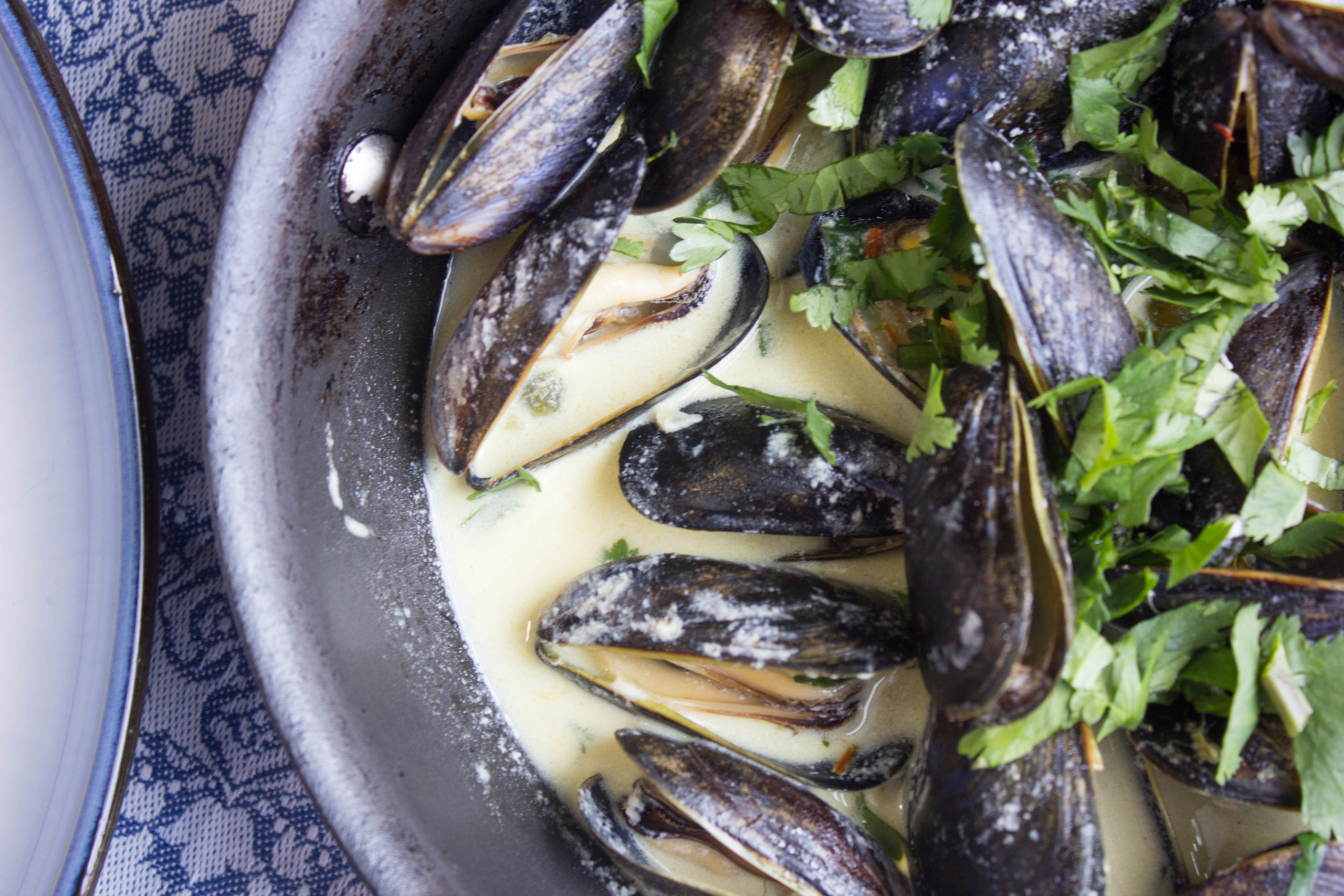 Steamed mussels with saffron cream
